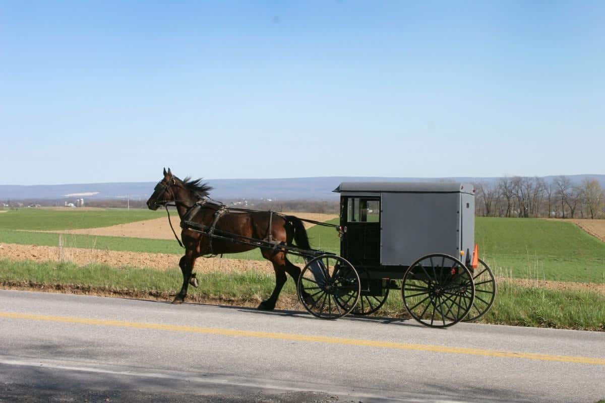 proper-road-etiquette-in-amish-country